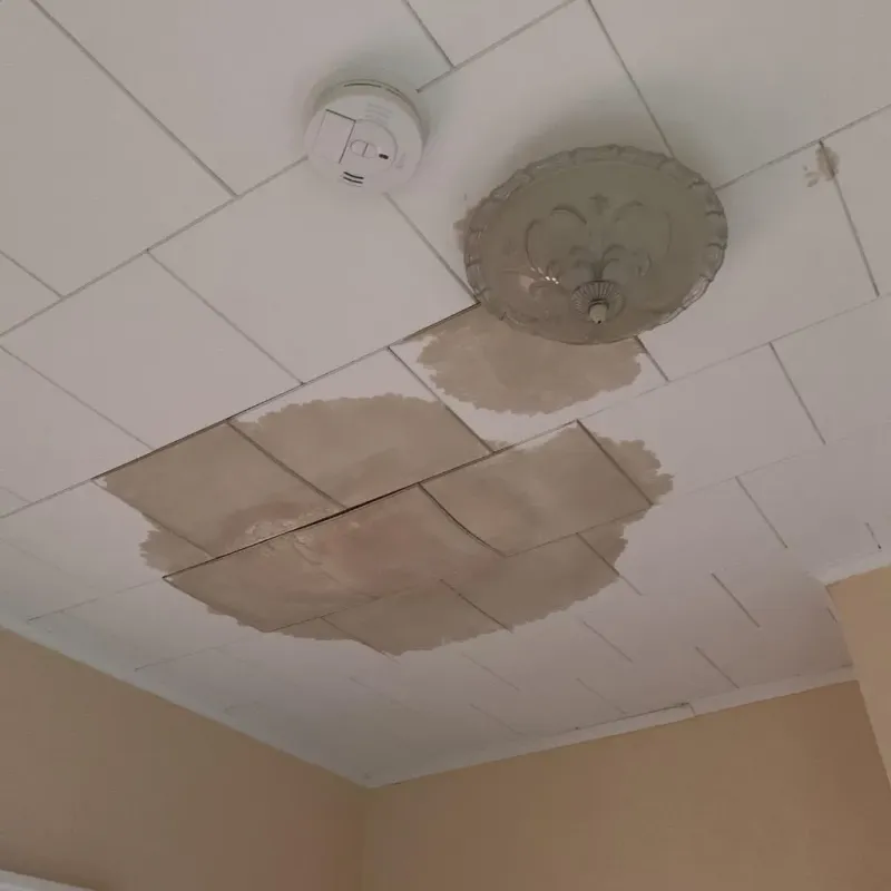 Ceiling Water Damage Repair in Glendale Heights, IL